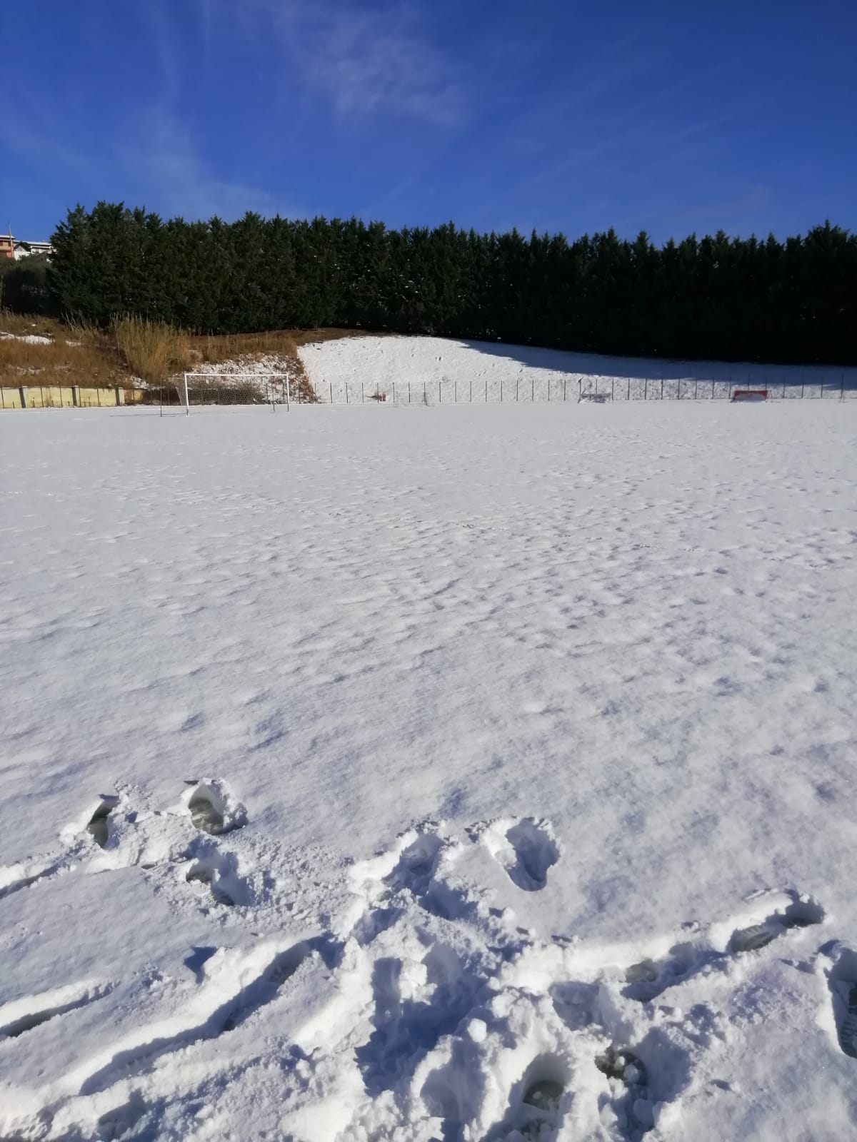 neve rinvio